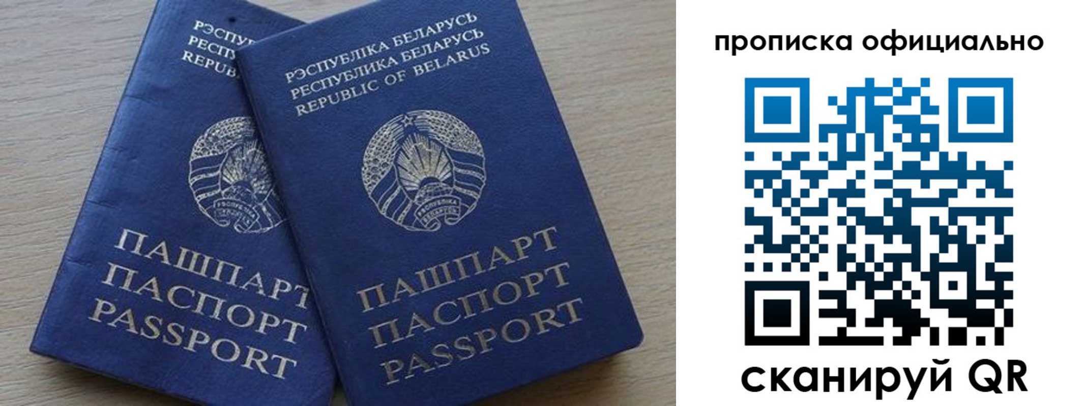 прописка поиск в Чистополье