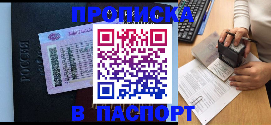 пропишу в квартире в Чистополье